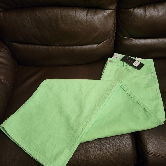 Zara Jeans New Mid-Rise Loose " THE BOOGIE PANT"  Neon Green Super Wide Leg - Picture 3 of 8